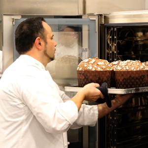 [field_galleria_alt]