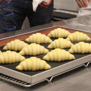 [field_galleria_alt]