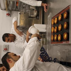 [field_galleria_alt]