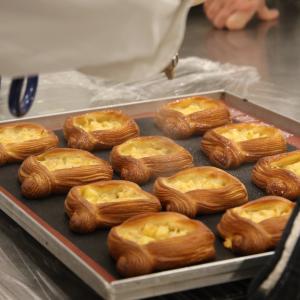 [field_galleria_alt]