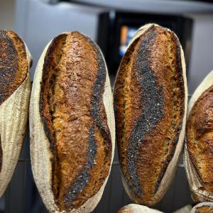 PEPPE LEOTTA ALTA FORMAZIONE SCUOLA DI PASTICCERIA Grandi Lievitati e Panificazione del Pasticcere del maestro lievitista Carlo Pedalino