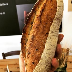 PEPPE LEOTTA ALTA FORMAZIONE CORSI CONPAIT-SICILIA SCUOLA PASTICCERIA La Panificazione del Pasticcere e la Colomba Gastronomica