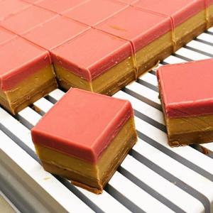 [field_galleria_alt]