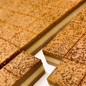 [field_galleria_alt]