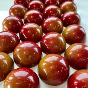 [field_galleria_alt]