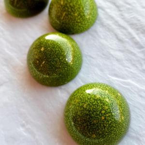 [field_galleria_alt]