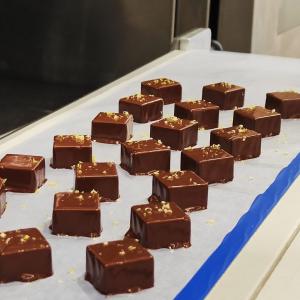 [field_galleria_alt]