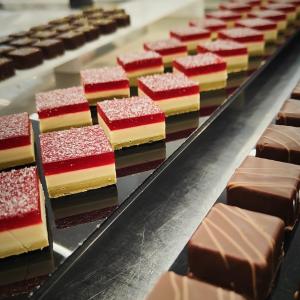 [field_galleria_alt]