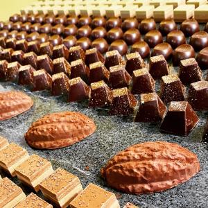 [field_galleria_alt]