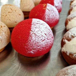 [field_galleria_alt]