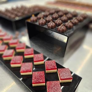 [field_galleria_alt]