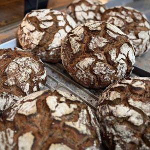 PEPPE LEOTTA ALTA FORMAZIONE SCUOLA DI PASTICCERIA Grandi Lievitati e Panificazione del Pasticcere del maestro lievitista Carlo Pedalino