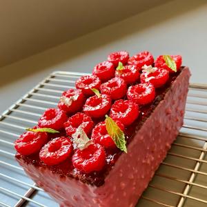 [field_galleria_alt]