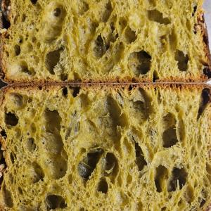 [field_galleria_alt]