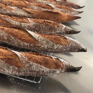 PEPPE LEOTTA ALTA FORMAZIONE CORSI CONPAIT-SICILIA SCUOLA PASTICCERIA La Panificazione del Pasticcere e la Colomba Gastronomica