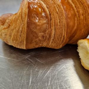 [field_galleria_alt]