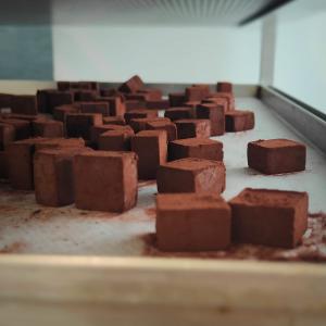 [field_galleria_alt]