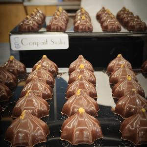 [field_galleria_alt]