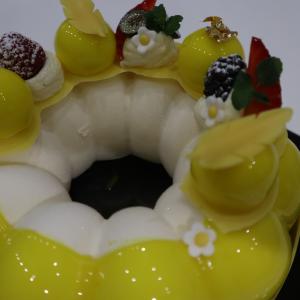 [field_galleria_alt]