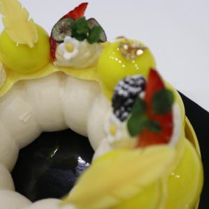 [field_galleria_alt]