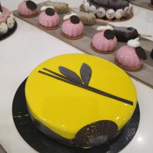 [field_galleria_alt]