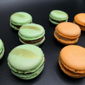 [field_galleria_alt]