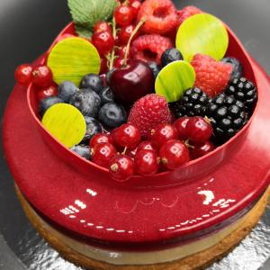 [field_galleria_alt]